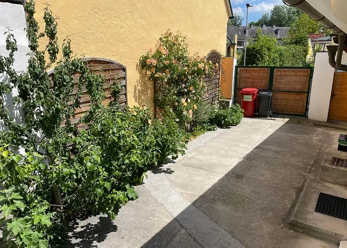 Casa Domingo - Oase Im Herzen Des Waldviertels Schwarzenau (Zwettl)